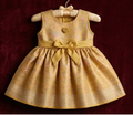 The Svarnika Heritage Frock